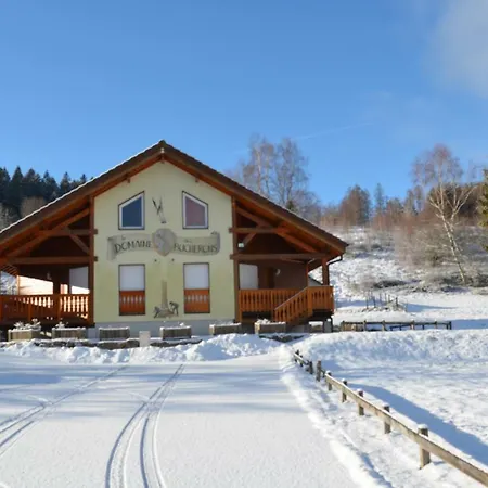 Vakantiehuis Le Bucheron Gérardmer